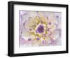 USA, Washington State, Seabeck. Dahlia blossom close-up.-Jaynes Gallery-Framed Photographic Print