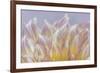 USA, Washington State, Seabeck. Dahlia blossom petals close-up.-Jaynes Gallery-Framed Photographic Print