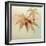 USA, Washington State, Seabeck. Fall maple leaves.-Jaynes Gallery-Framed Photographic Print