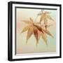 USA, Washington State, Seabeck. Fall maple leaves.-Jaynes Gallery-Framed Photographic Print