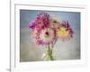 USA, Washington State, Seabeck. Fresh-cut dahlias in vase.-Jaynes Gallery-Framed Photographic Print