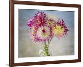 USA, Washington State, Seabeck. Fresh-cut dahlias in vase.-Jaynes Gallery-Framed Photographic Print