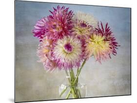 USA, Washington State, Seabeck. Fresh-cut dahlias in vase.-Jaynes Gallery-Mounted Photographic Print