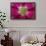 USA, Washington State, Seabeck. Hollyhock Blossom Composite-Don Paulson-Framed Photographic Print displayed on a wall