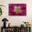 USA, Washington State, Seabeck. Hollyhock Blossom Composite-Don Paulson-Framed Photographic Print displayed on a wall