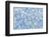 USA, Washington State, Seabeck. Layout of hydrangea blossoms.-Jaynes Gallery-Framed Photographic Print