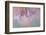 USA, Washington State, Seabeck. Lily blossoms close-up.-Jaynes Gallery-Framed Photographic Print