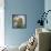 USA, Washington State, Seabeck. Mallard Duck Chick Close-up-Don Paulson-Framed Stretched Canvas displayed on a wall