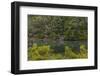 USA, Washington State, Seabeck. Misery Point Great Peninsula Conservancy canal.-Jaynes Gallery-Framed Photographic Print