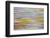 USA, Washington State, Seabeck. Motion Blur of Fall Leaves on Beach-Don Paulson-Framed Photographic Print