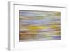 USA, Washington State, Seabeck. Motion Blur of Fall Leaves on Beach-Don Paulson-Framed Photographic Print