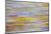 USA, Washington State, Seabeck. Motion Blur of Fall Leaves on Beach-Don Paulson-Mounted Photographic Print