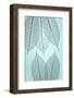 USA, Washington State, Seabeck. Pattern of skeletonized leaves.-Jaynes Gallery-Framed Photographic Print
