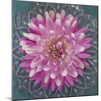 USA, Washington State, Seabeck. Pink dahlia in crystal bowl.-Jaynes Gallery-Mounted Photographic Print