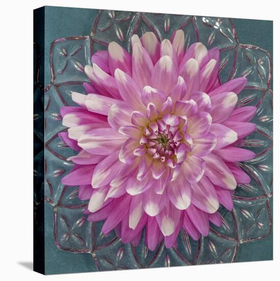 USA, Washington State, Seabeck. Pink dahlia in crystal bowl.-Jaynes Gallery-Stretched Canvas