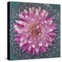 USA, Washington State, Seabeck. Pink dahlia in crystal bowl.-Jaynes Gallery-Stretched Canvas