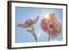 USA, Washington State, Seabeck. Pink dogwood blossoms.-Jaynes Gallery-Framed Photographic Print