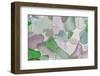 USA, Washington State, Seabeck. Sea glass close-up.-Jaynes Gallery-Framed Photographic Print