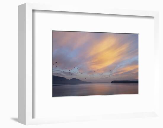 USA, Washington State, Seabeck. Sunrise over Hood Canal.-Jaynes Gallery-Framed Photographic Print