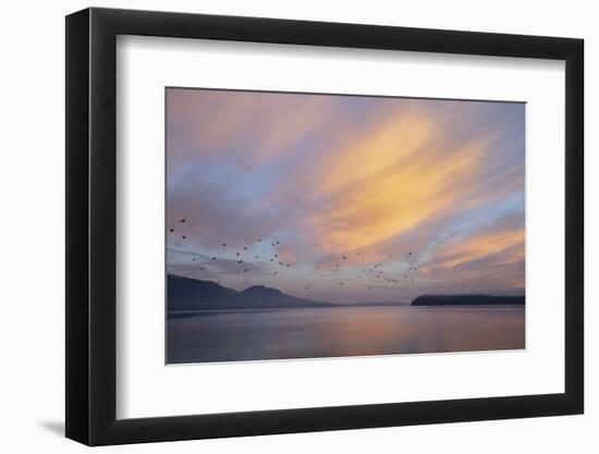 USA, Washington State, Seabeck. Sunrise over Hood Canal.-Jaynes Gallery-Framed Photographic Print