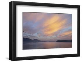USA, Washington State, Seabeck. Sunrise over Hood Canal.-Jaynes Gallery-Framed Photographic Print