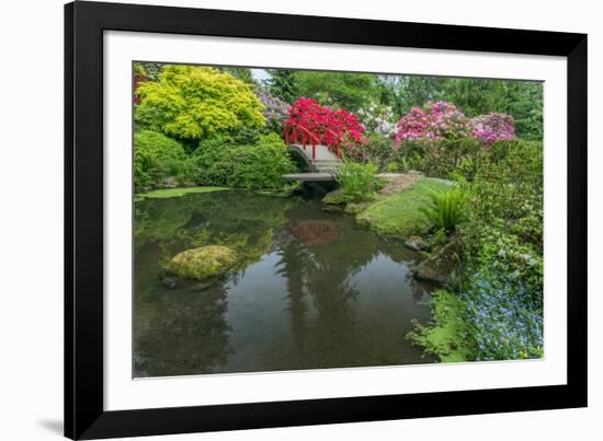 USA, Washington State, Seattle. Kubota Garden.-Rob Tilley-Framed Photographic Print