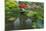 USA, Washington State, Seattle. Kubota Garden.-Rob Tilley-Mounted Photographic Print