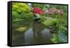 USA, Washington State, Seattle. Kubota Garden.-Rob Tilley-Framed Stretched Canvas
