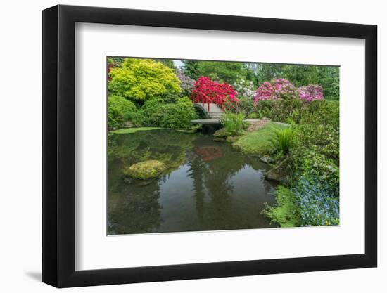 USA, Washington State, Seattle. Kubota Garden.-Rob Tilley-Framed Photographic Print