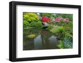 USA, Washington State, Seattle. Kubota Garden.-Rob Tilley-Framed Photographic Print