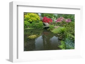 USA, Washington State, Seattle. Kubota Garden.-Rob Tilley-Framed Photographic Print