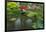 USA, Washington State, Seattle. Kubota Garden.-Rob Tilley-Framed Photographic Print