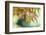 USA, Washington State, Seattle. Kubota Japanese Garden, Autumn Leaves-Rob Tilley-Framed Photographic Print