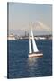 USA, Washington State, Seattle. Puget Sound, Mount Rainier and Port of Seattle.-Trish Drury-Stretched Canvas