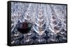 USA, Washington State, Seattle. Red wine in row of glasses.-Richard Duval-Framed Stretched Canvas