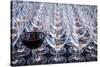 USA, Washington State, Seattle. Red wine in row of glasses.-Richard Duval-Stretched Canvas