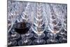 USA, Washington State, Seattle. Red wine in row of glasses.-Richard Duval-Mounted Photographic Print