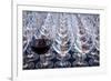 USA, Washington State, Seattle. Red wine in row of glasses.-Richard Duval-Framed Photographic Print