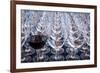 USA, Washington State, Seattle. Red wine in row of glasses.-Richard Duval-Framed Photographic Print