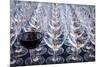 USA, Washington State, Seattle. Red wine in row of glasses.-Richard Duval-Mounted Photographic Print