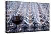 USA, Washington State, Seattle. Red wine in row of glasses.-Richard Duval-Stretched Canvas