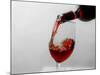 USA, Washington State, Seattle. Red wine pours into a glass.-Richard Duval-Mounted Photographic Print