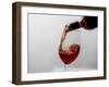 USA, Washington State, Seattle. Red wine pours into a glass.-Richard Duval-Framed Photographic Print