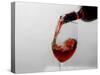 USA, Washington State, Seattle. Red wine pours into a glass.-Richard Duval-Stretched Canvas