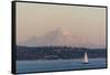 USA, Washington State, Seattle. Sailboat passes in front of Mt. Rainier pink dusk light-Trish Drury-Framed Stretched Canvas