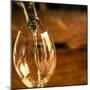 USA, Washington State, Seattle. White wine pouring into glass in a Seattle winery.-Richard Duval-Mounted Premium Photographic Print