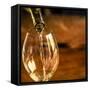 USA, Washington State, Seattle. White wine pouring into glass in a Seattle winery.-Richard Duval-Framed Stretched Canvas