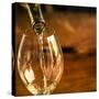 USA, Washington State, Seattle. White wine pouring into glass in a Seattle winery.-Richard Duval-Stretched Canvas