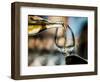 USA, Washington State, Seattle. White wine tasting-Richard Duval-Framed Photographic Print