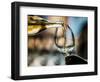 USA, Washington State, Seattle. White wine tasting-Richard Duval-Framed Photographic Print